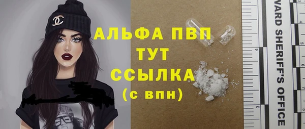 молекула духа Волоколамск
