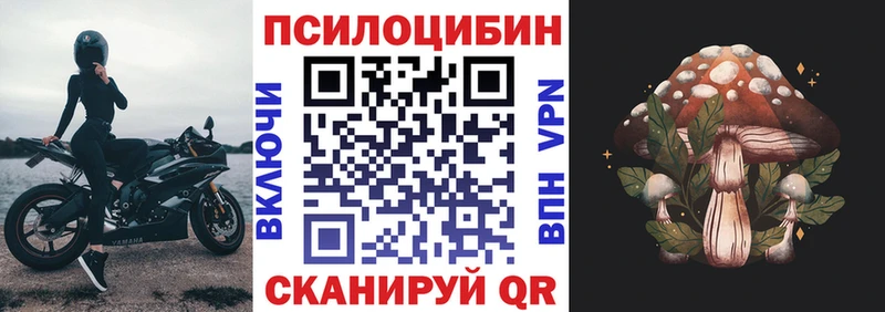 наркошоп  Нарьян-Мар  Псилоцибиновые грибы GOLDEN TEACHER 